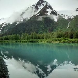 Meet your Posher, Sophia